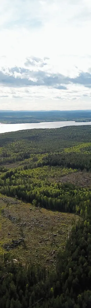Wälder und Seen soweit das Auge reicht